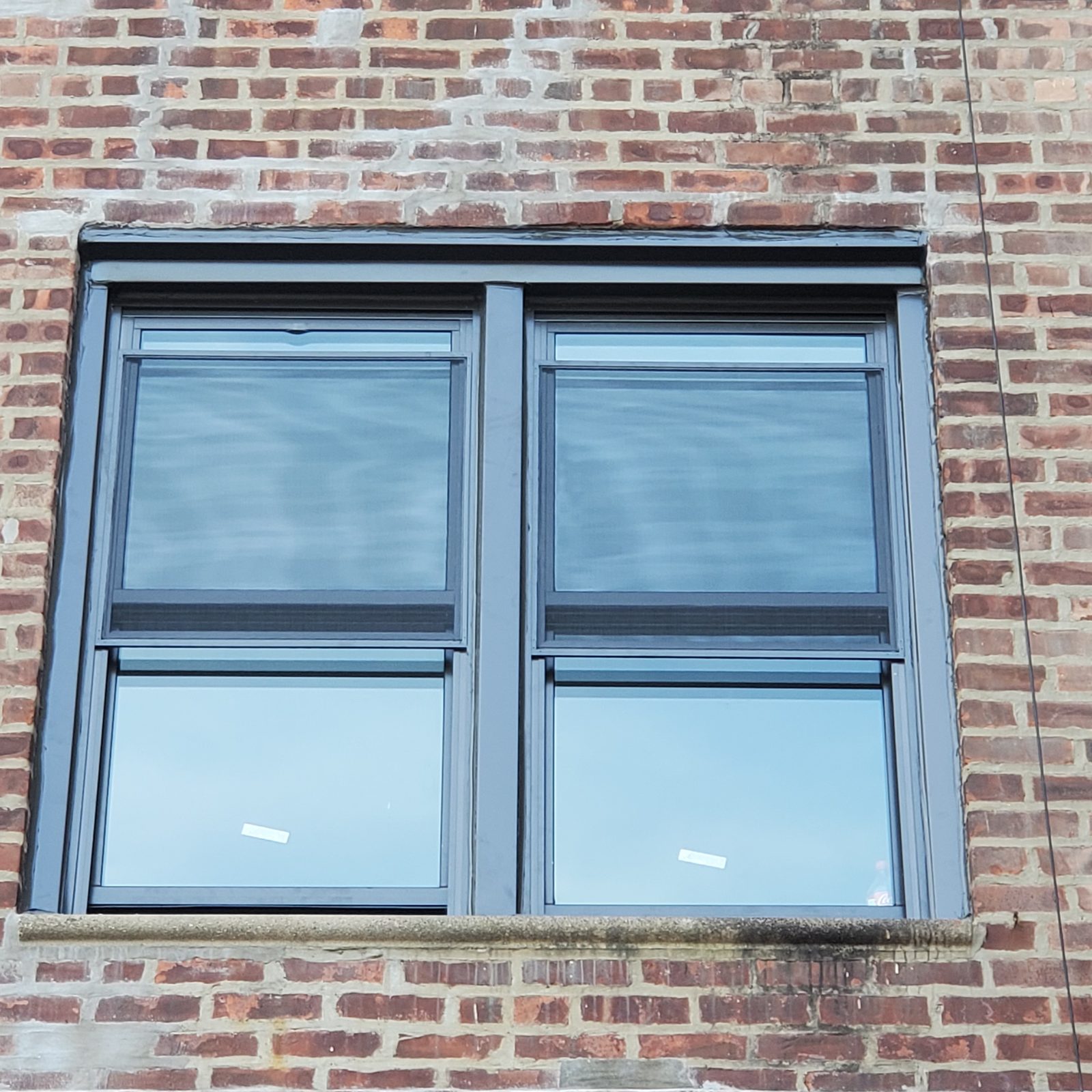 Twin dark-framed double-hung replacement windows with a center mullion in a brick apartment building, Brighton Beach, Brooklyn